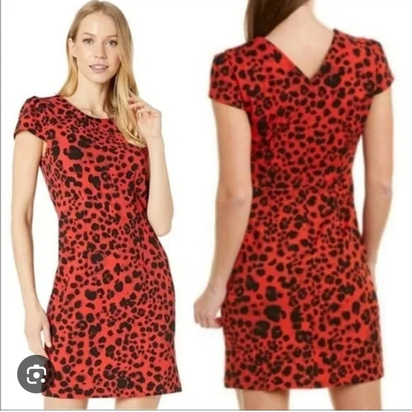 Betsey Johnson Dresses & Skirts - NWT Betsey Johnson Cheetah Print Size 12P Dress